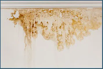 Miami Gardens Emergency Restoration Miami Gardens, FL 786-350-3360 - city-wdr-11