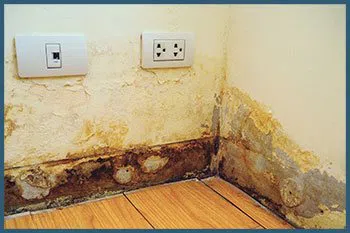 Miami Gardens Emergency Restoration Miami Gardens, FL 786-350-3360 - serv-dama-v2-wgr-11