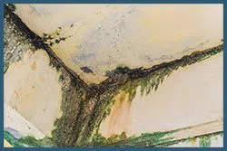 Miami Gardens Emergency Restoration Miami Gardens, FL 786-350-3360 - sid-damage-v2-wgr-11