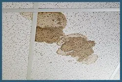 Miami Gardens Emergency Restoration Miami Gardens, FL 786-350-3360 - sid-leaks-v2-wgr-11