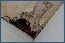 Miami Gardens Emergency Restoration Miami Gardens, FL 786-350-3360 - sid-mold-v2-wgr-11